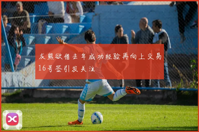 灰熊欲借去年成功经验再向上交易16号签引发关注
