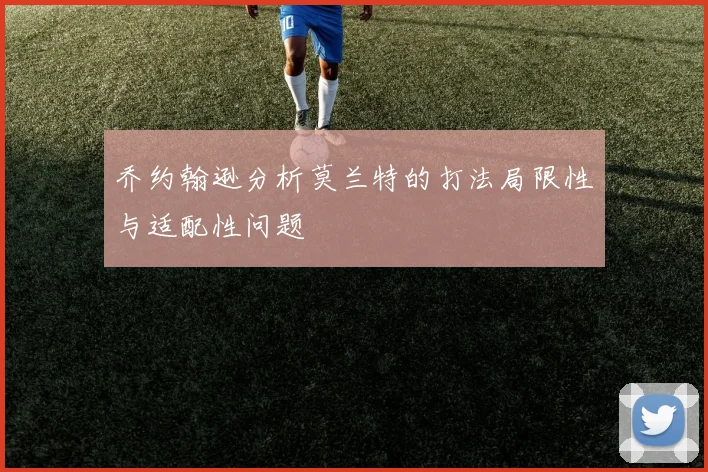 乔约翰逊分析莫兰特的打法局限性与适配性问题