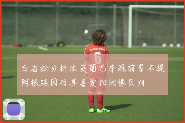 白岩松分析法英葡巴夺冠前景不提阿根廷因对其喜爱担忧像贝利